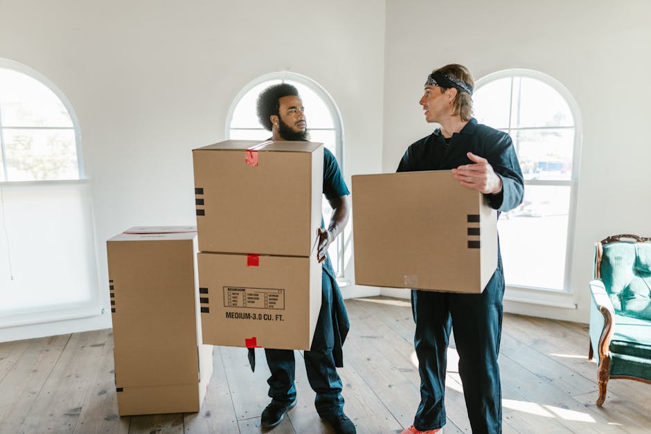 Two professional movers from Dagenham Man and Van are inside a well-lit room with large arched windows, preparing for a home relocation. One mover, an African man with curly hair and a beard, is holdi